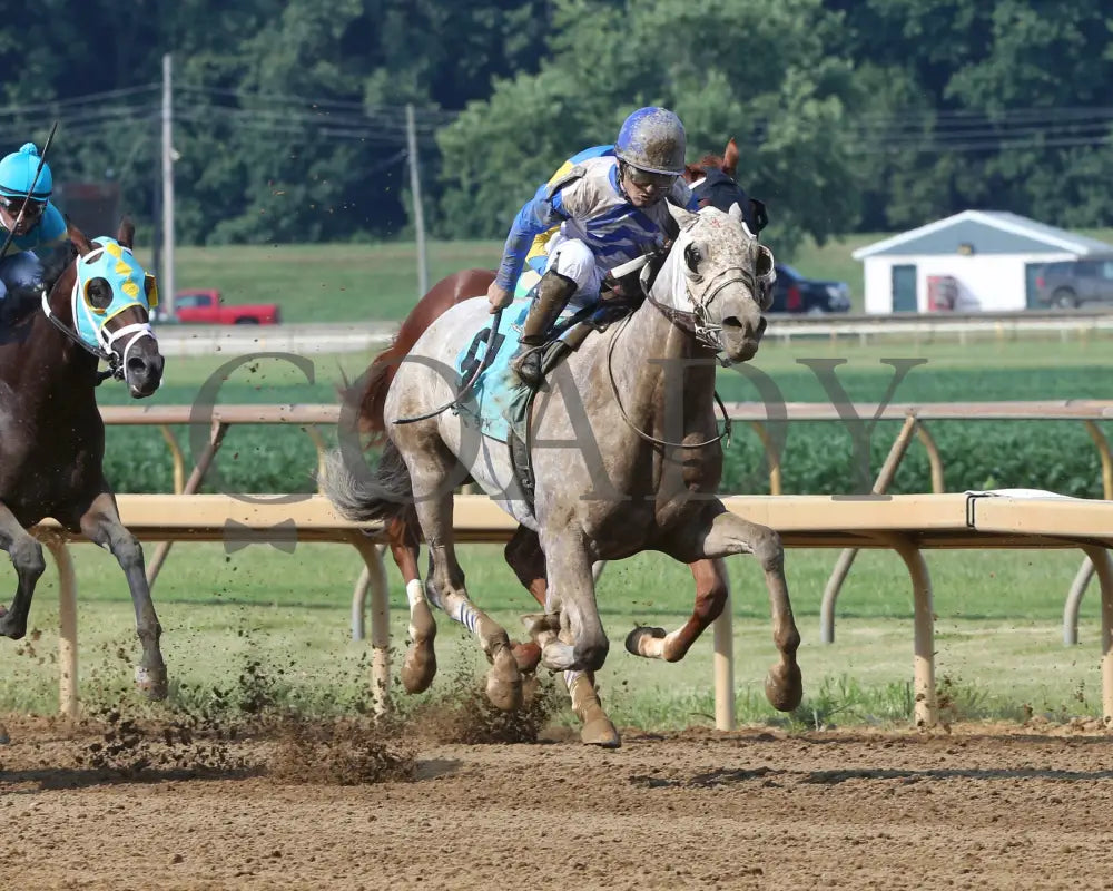 Believe In Royalty - 081218 Race 08 Elp Finish 01 Ellis Park