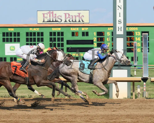 Believe In Royalty - 081218 Race 08 Elp Finish 02 Ellis Park