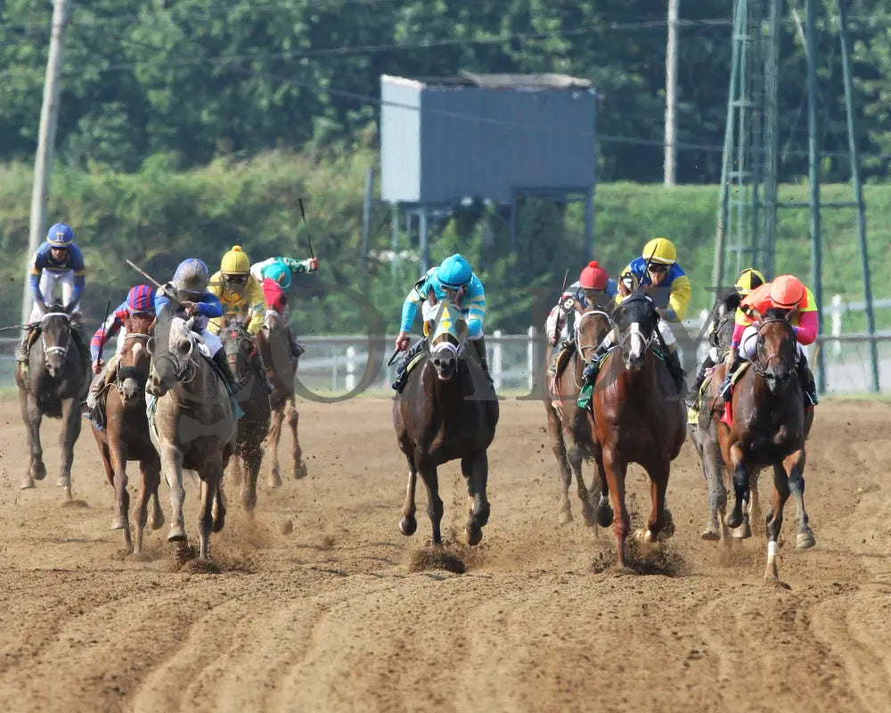Believe In Royalty - 081218 Race 08 Elp Head On 01 Ellis Park