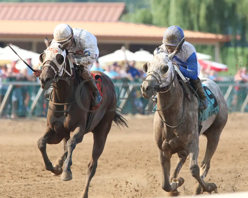 Believe In Royalty - 081218 Race 08 Elp Inside Finish 02 Ellis Park