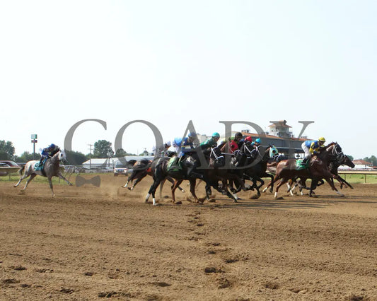 Believe In Royalty - 081218 Race 08 Elp Start 01 Ellis Park