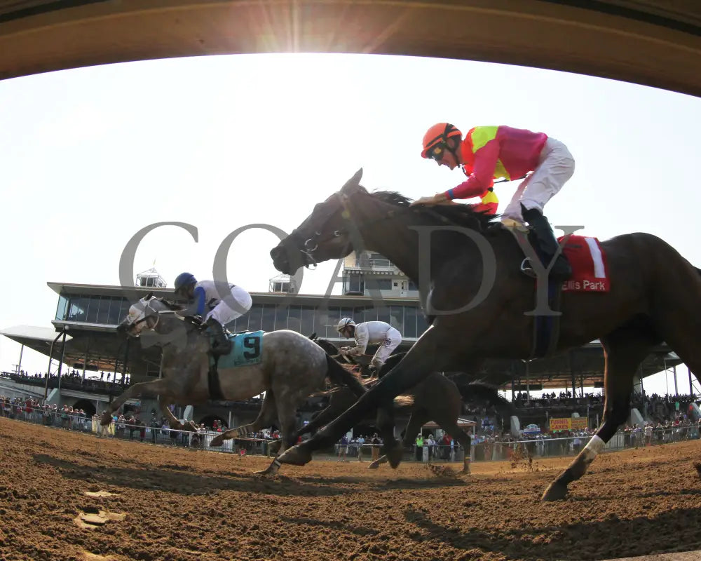 Believe In Royalty - 081218 Race 08 Elp Under Rail 02 Ellis Park