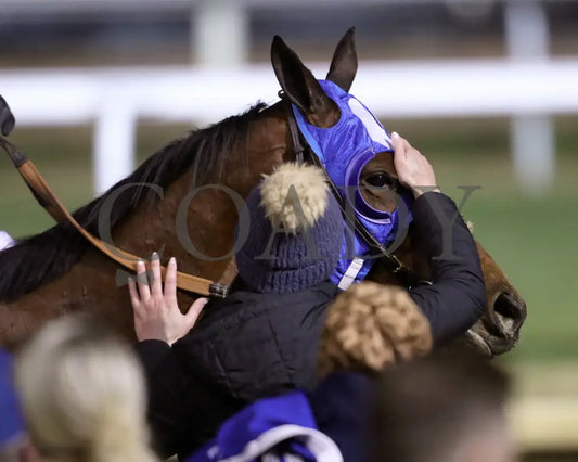 BELLA BALLERINA - The Golden Rod G2 - 11-29-25 - R11 - CD - Come Back 02 - Coady Media - Kurtis Coady Photography