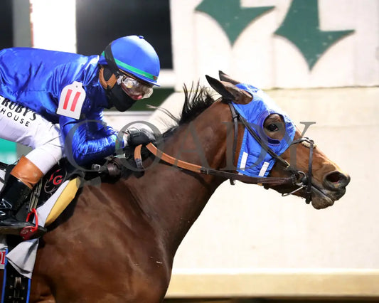 BELLA BALLERINA - The Golden Rod G2 - 11-29-25 - R11 - CD  - Finish 03 - Coady Media - Kurtis Coady Photography