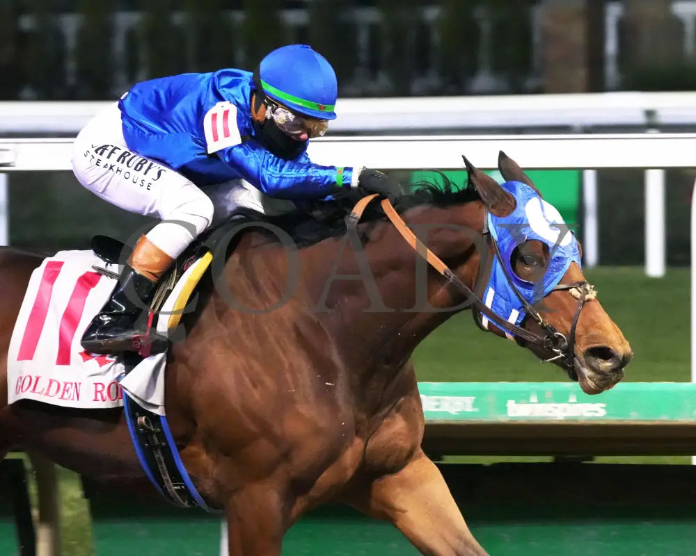 BELLA BALLERINA - The Golden Rod G2 - 11-29-25 - R11 - CD  - Finish 04 - Coady Media - Kurtis Coady Photography