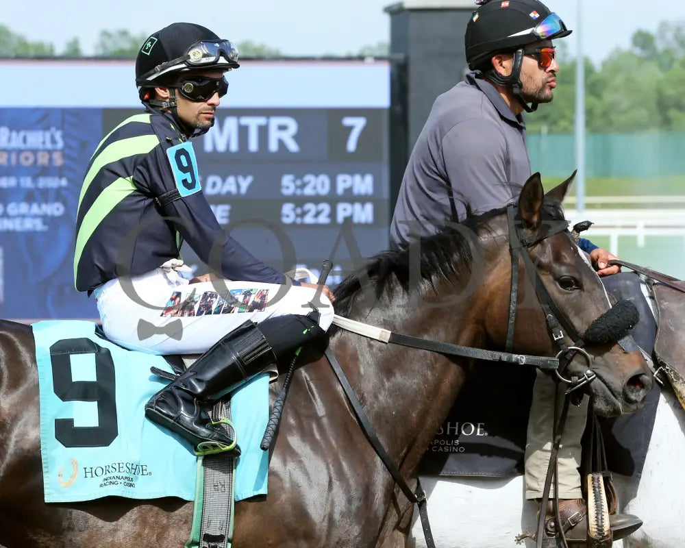 Bella Francesca - Swifty Sired Fillies 05-22-24 R07 Horseshoe Indiana Post Parade 01 Grand