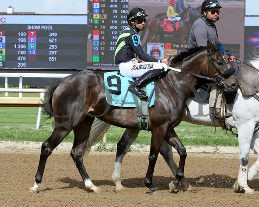 Bella Francesca - Swifty Sired Fillies 05-22-24 R07 Horseshoe Indiana Post Parade 02 Grand