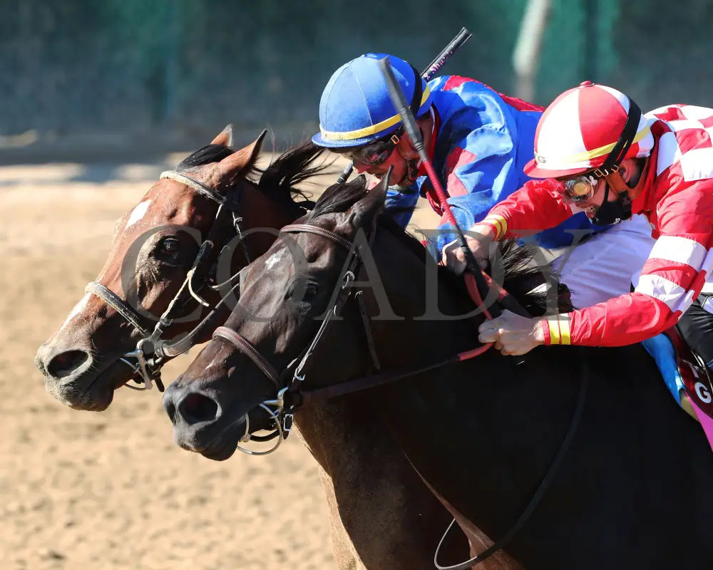 Bell’s The One - Derby City Distaff G1 34Th Running 09-05-20 R12 Cd Inside Finish 01 Churchill Downs