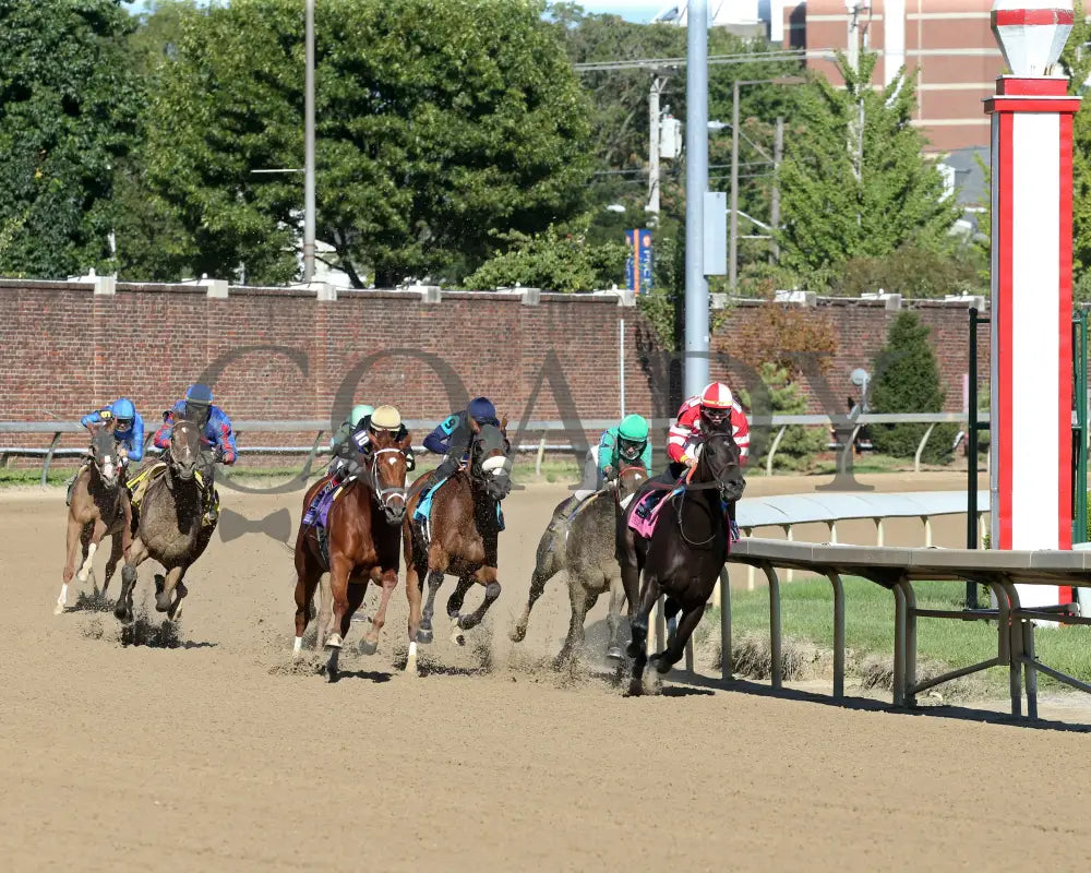 Bell’s The One - Derby City Distaff G1 34Th Running 09-05-20 R12 Cd Turn 01 Churchill Downs