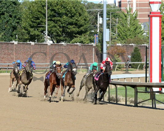 Bell’s The One - Derby City Distaff G1 34Th Running 09-05-20 R12 Cd Turn 01 Churchill Downs