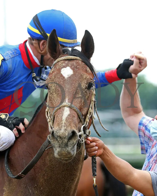 Bell’s The One - Winning Colors G3 17Th Running 05-30-20 R07 Cd Come Back 02 Churchill Downs