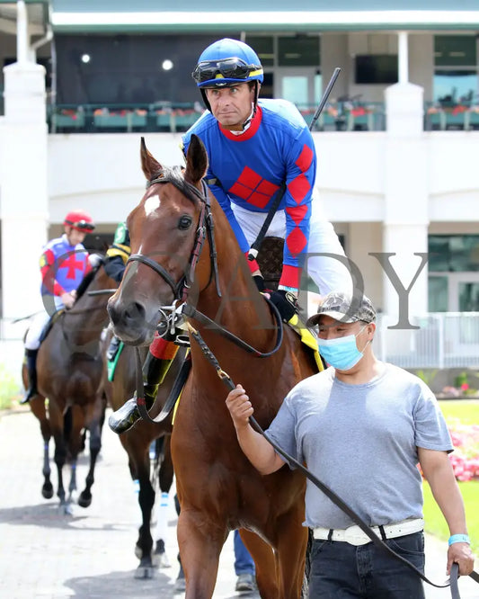 Bell’s The One - Winning Colors G3 17Th Running 05-30-20 R07 Cd Paddock 03 Churchill Downs