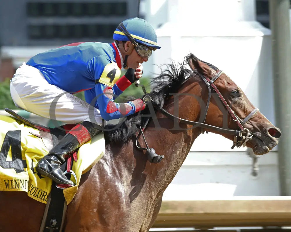 Bell’s The One - Winning Colors G3 17Th Running 05-30-20 R07 Cd Tight Finish 01 Churchill Downs