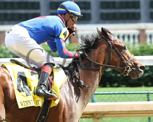 Bell’s The One - Winning Colors G3 17Th Running 05-30-20 R07 Cd Tight Finish 03 Churchill Downs