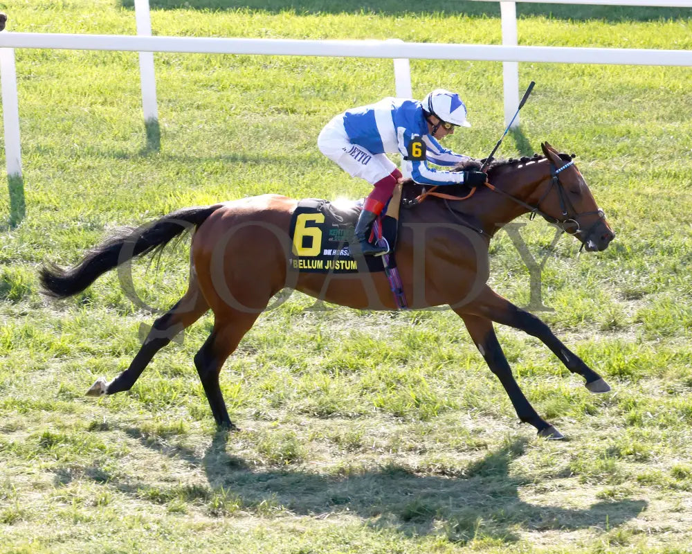 Bellum Justum - The Dk Horse Nashville Derby Invitational G3 08-31-24 R08 Kd Aerial Finish 01