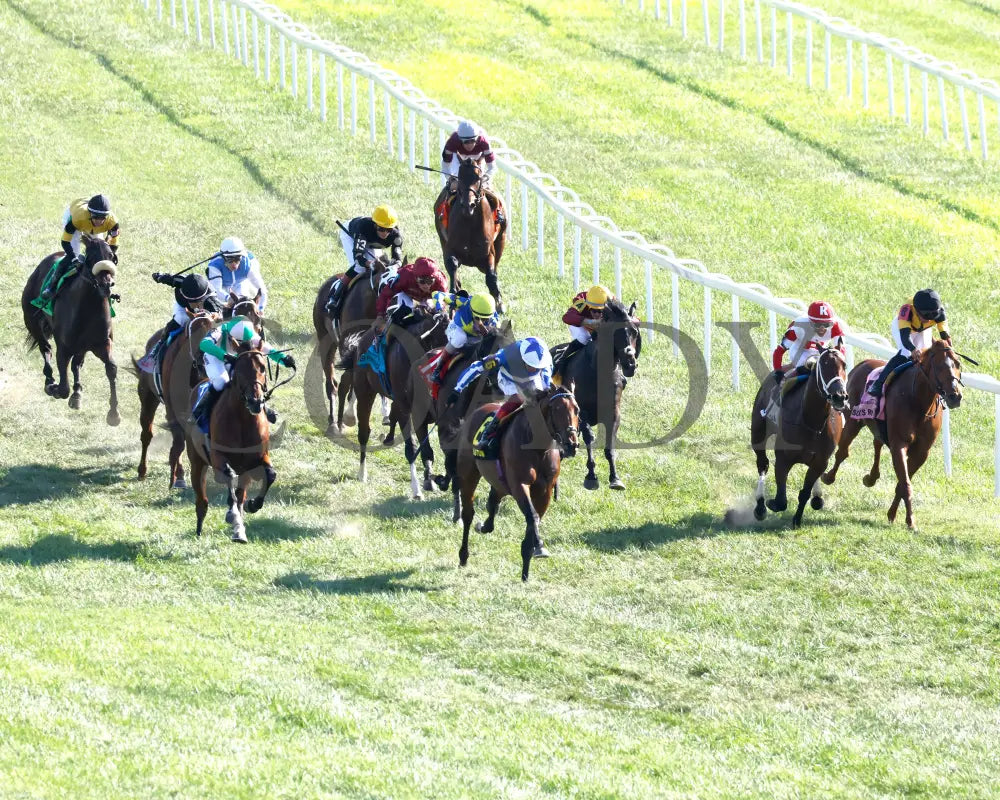 Bellum Justum - The Dk Horse Nashville Derby Invitational G3 08-31-24 R08 Kd Aerial Finish 02