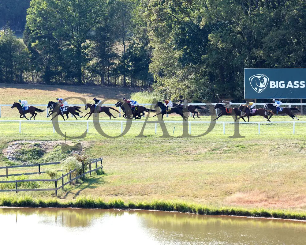 Bellum Justum - The Dk Horse Nashville Derby Invitational G3 08-31-24 R08 Kd Backstretch 01
