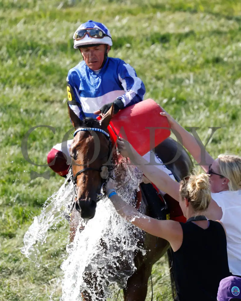 Bellum Justum - The Dk Horse Nashville Derby Invitational G3 08-31-24 R08 Kd Come Back 01 Kentucky