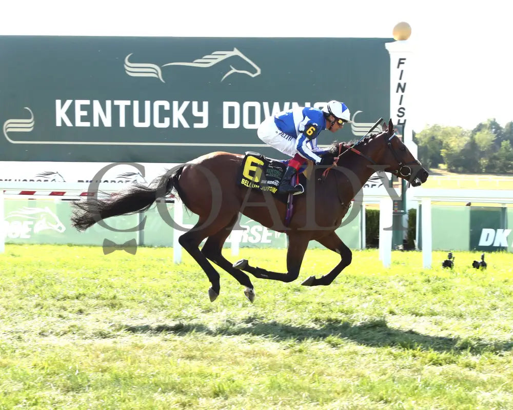 Bellum Justum - The Dk Horse Nashville Derby Invitational G3 08-31-24 R08 Kd Finish 01 Kentucky