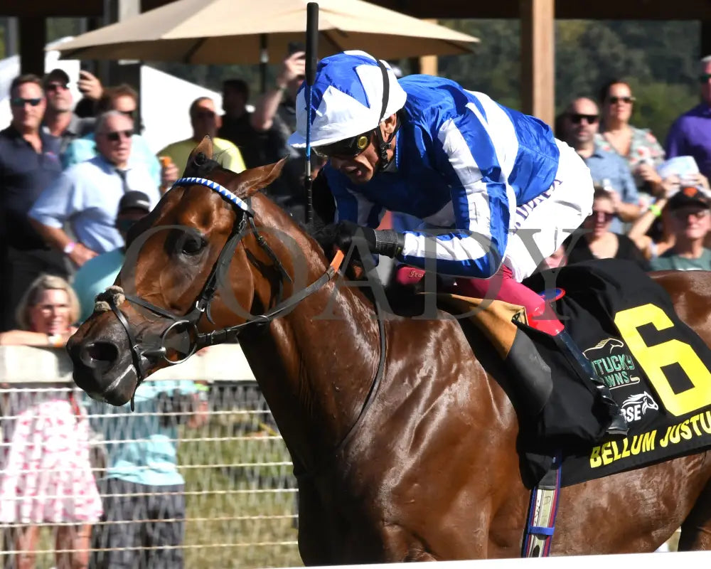 Bellum Justum - The Dk Horse Nashville Derby Invitational G3 08-31-24 R08 Kd Inside Finish 01