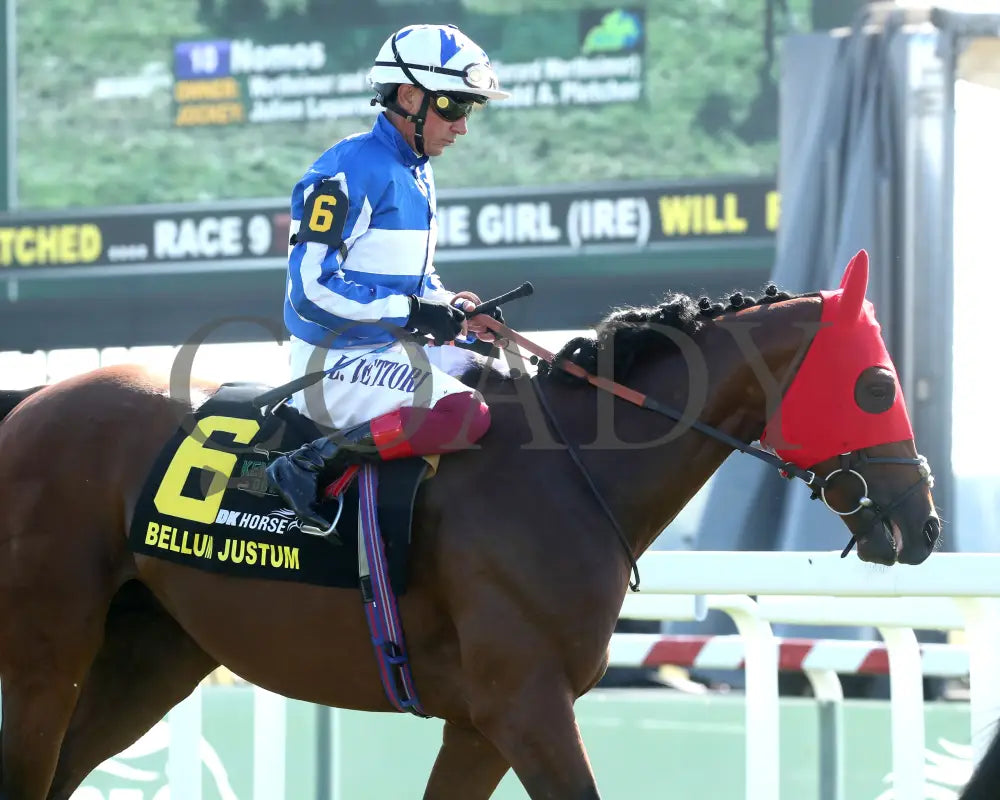 Bellum Justum - The Dk Horse Nashville Derby Invitational G3 08-31-24 R08 Kd Post Parade 02