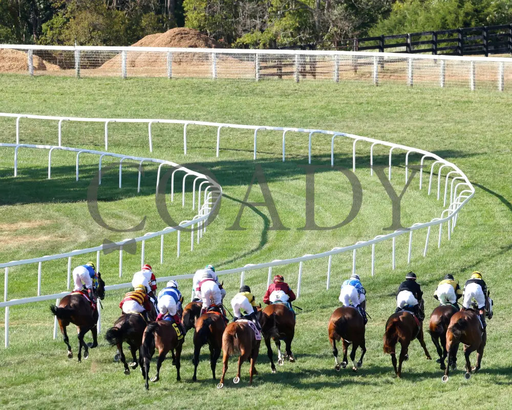 Bellum Justum - The Dk Horse Nashville Derby Invitational G3 08-31-24 R08 Kd Start 02 Kentucky Downs