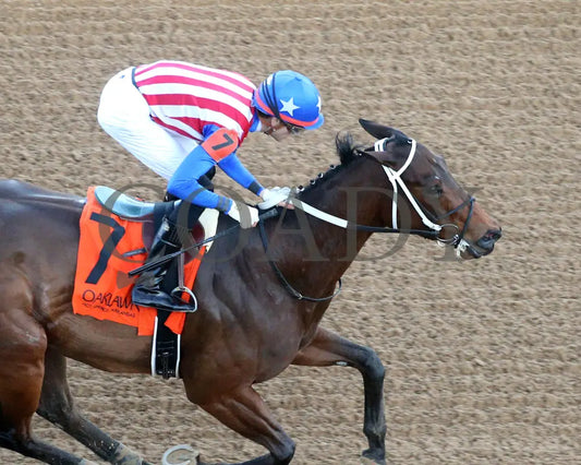 Benedetta - The American Beauty Stakes 02-01-25 R09 Op Aerial Finish 03 Oaklawn Park