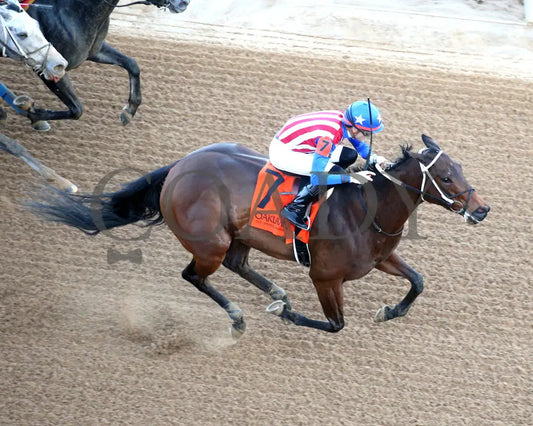 Benedetta - The American Beauty Stakes 02-01-25 R09 Op Aerial Finish 01 Oaklawn Park