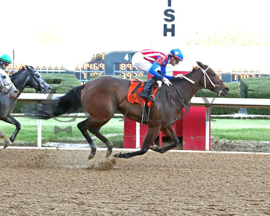 Benedetta - The American Beauty Stakes 02-01-25 R09 Op Finish 01 Oaklawn Park