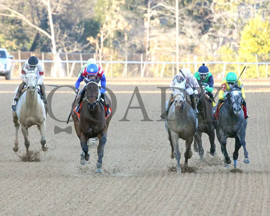 Benedetta - The American Beauty Stakes 02-01-25 R09 Op Head On 01 Oaklawn Park