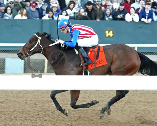 Benedetta - The American Beauty Stakes 02-01-25 R09 Op Inside Finish 01 Oaklawn Park