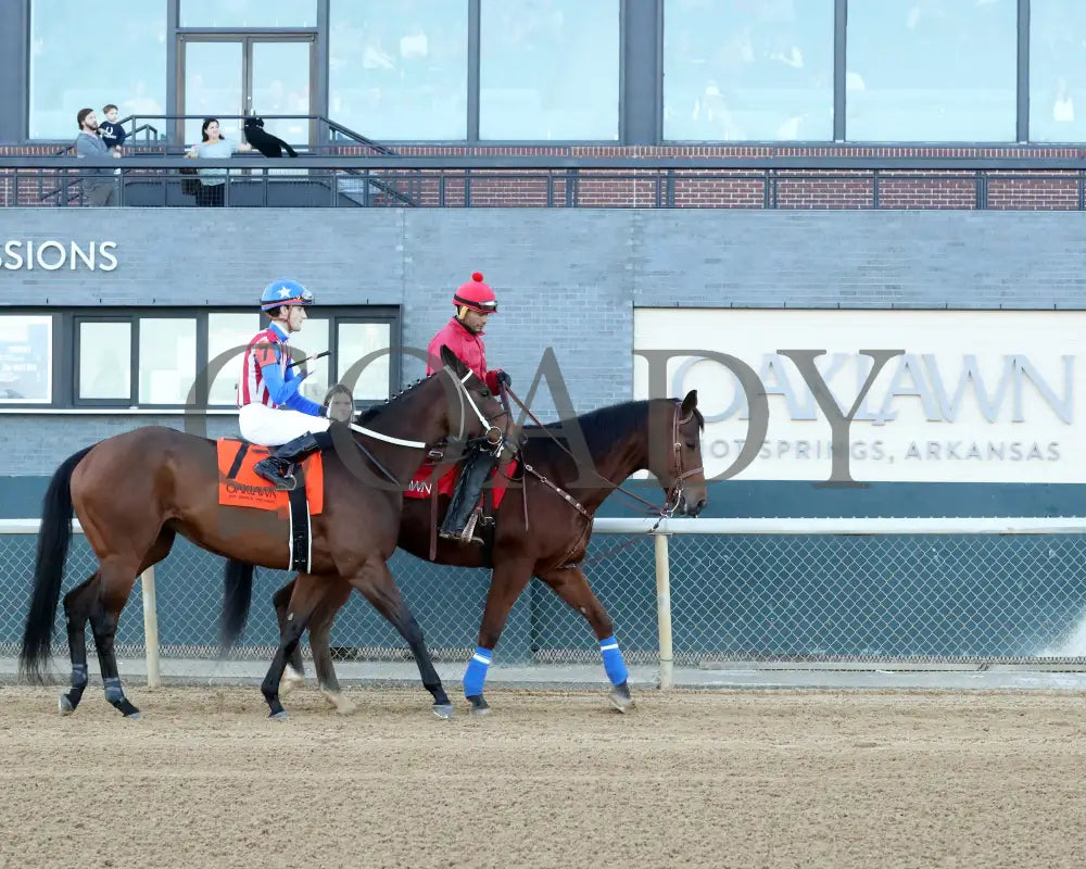 Benedetta - The American Beauty Stakes 02-01-25 R09 Op Post Parade 01 Oaklawn Park