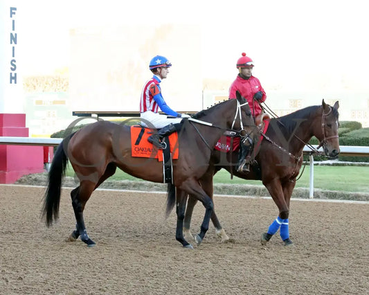 Benedetta - The American Beauty Stakes 02-01-25 R09 Op Post Parade 02 Oaklawn Park