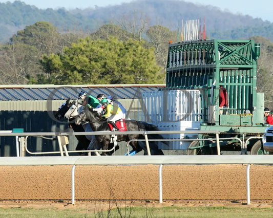 Benedetta - The American Beauty Stakes 02-01-25 R09 Op Start 01 Oaklawn Park