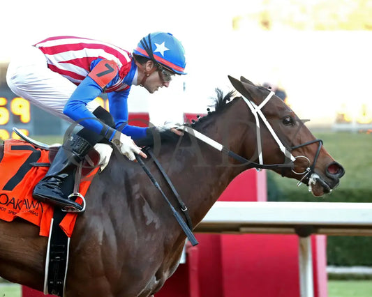 Benedetta - The American Beauty Stakes 02-01-25 R09 Op Tight Finish 01 Oaklawn Park