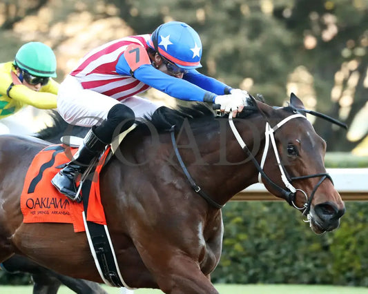 Benedetta - The American Beauty Stakes 02-01-25 R09 Op Tight Finish 02 Oaklawn Park