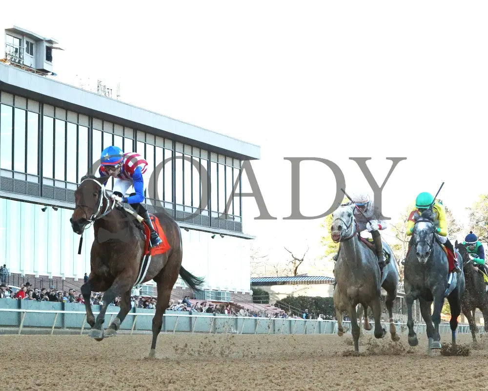 Benedetta - The American Beauty Stakes 02-01-25 R09 Op Underail 01 Oaklawn Park