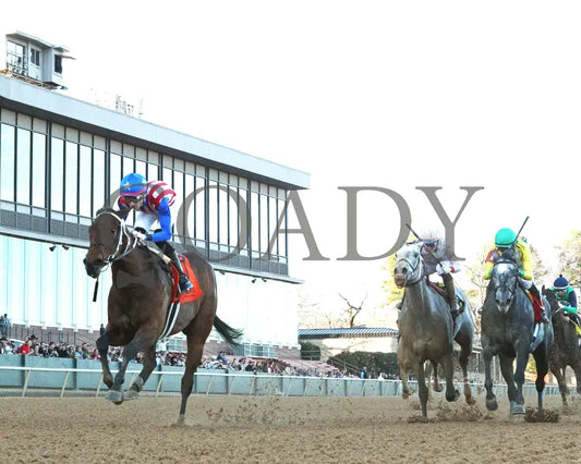 Benedetta - The American Beauty Stakes 02-01-25 R09 Op Underail 01 Oaklawn Park