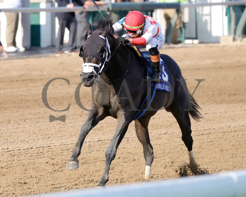 BENTORNATO - 091325 - Race 10 - CD - Inside Finish 02 - Coady Media - Kurtis Coady Photography