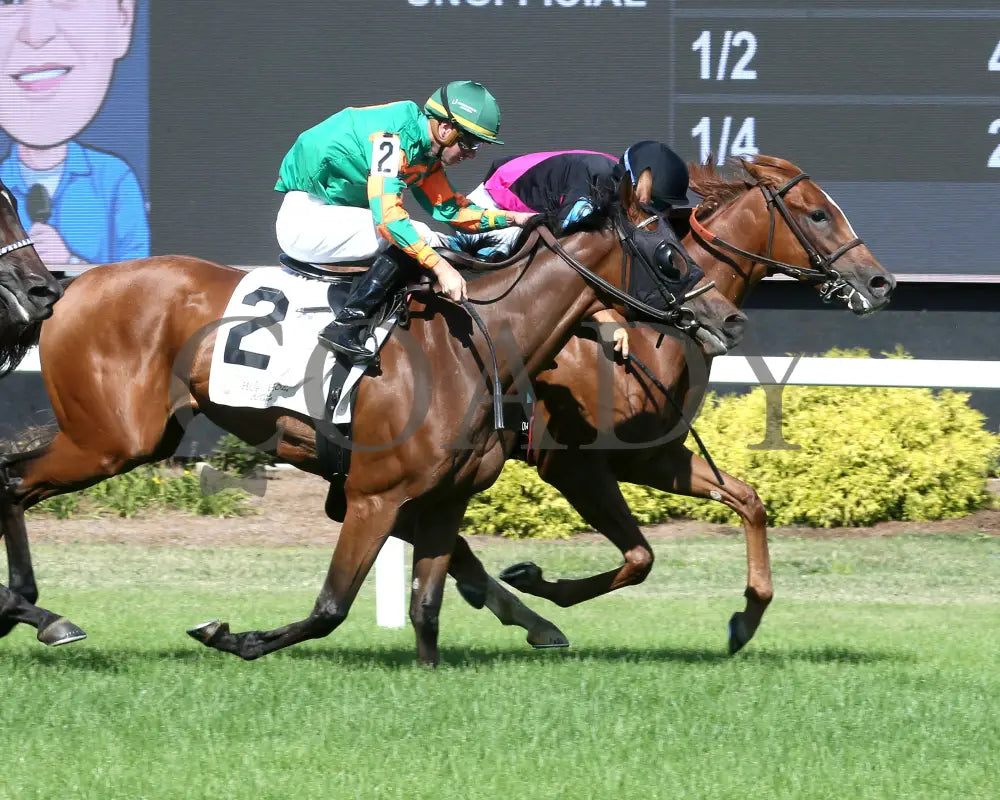 Best Cupcake - Ellen’s Lucky Star 16Th Running 07-06-24 R09 Ind Finish 01 Indiana Grand