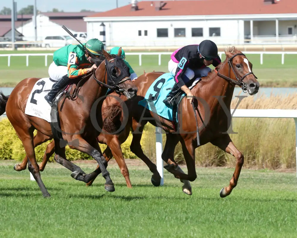 Best Cupcake - Ellen’s Lucky Star 16Th Running 07-06-24 R09 Ind Finish 02 Indiana Grand