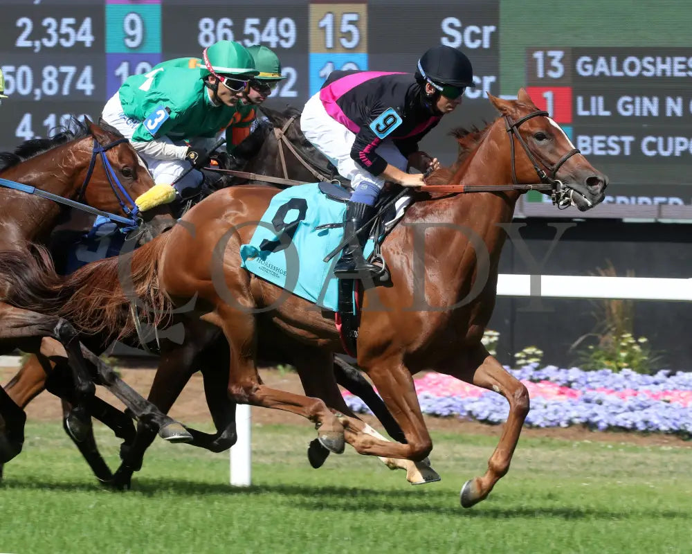 Best Cupcake - Ellen’s Lucky Star 16Th Running 07-06-24 R09 Ind First Pass 01 Indiana Grand