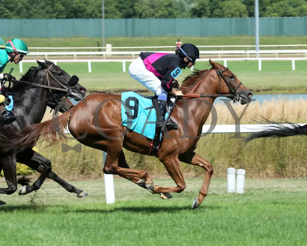 Best Cupcake - Ellen’s Lucky Star 16Th Running 07-06-24 R09 Ind First Pass 02 Indiana Grand
