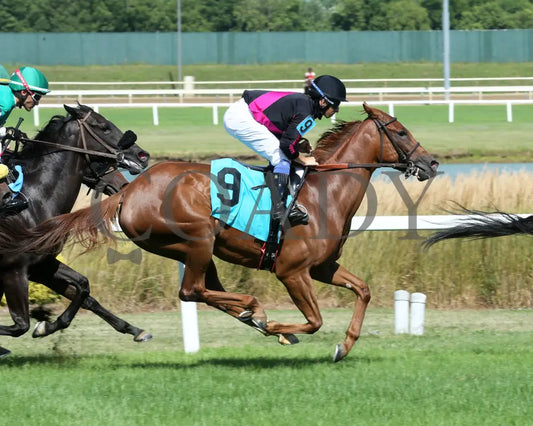 Best Cupcake - Ellen’s Lucky Star 16Th Running 07-06-24 R09 Ind First Pass 02 Indiana Grand