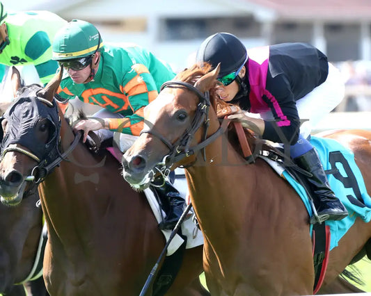 Best Cupcake - Ellen’s Lucky Star 16Th Running 07-06-24 R09 Ind Inside Finish 03 Indiana Grand