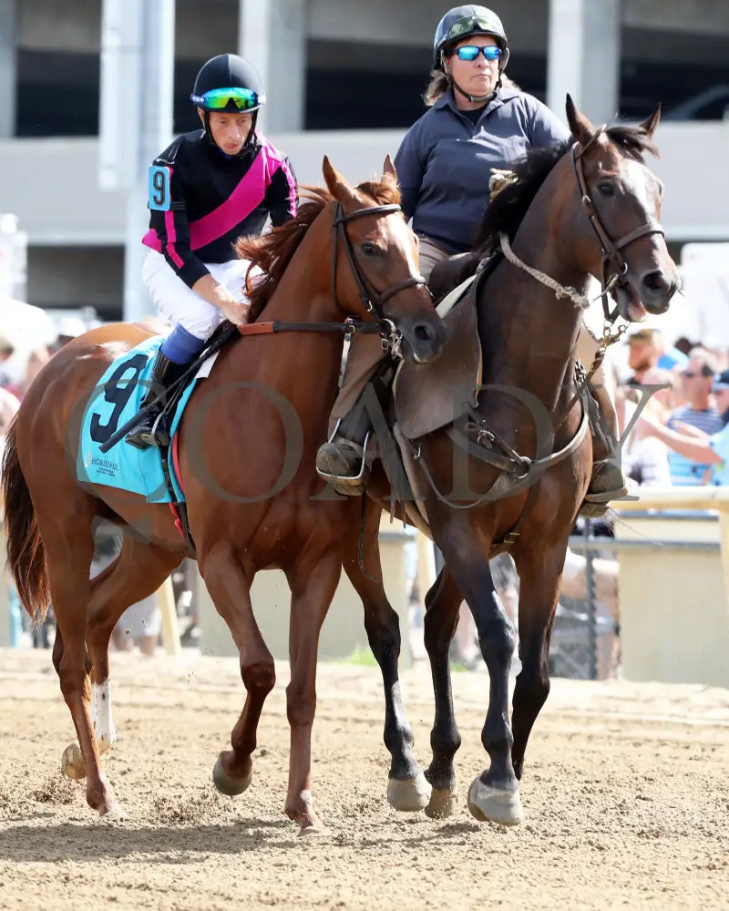 Best Cupcake - Ellen’s Lucky Star 16Th Running 07-06-24 R09 Ind Post Parade 03 Indiana Grand