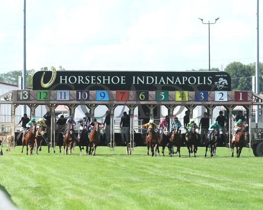 Best Cupcake - Ellen’s Lucky Star 16Th Running 07-06-24 R09 Ind Start 01 Indiana Grand