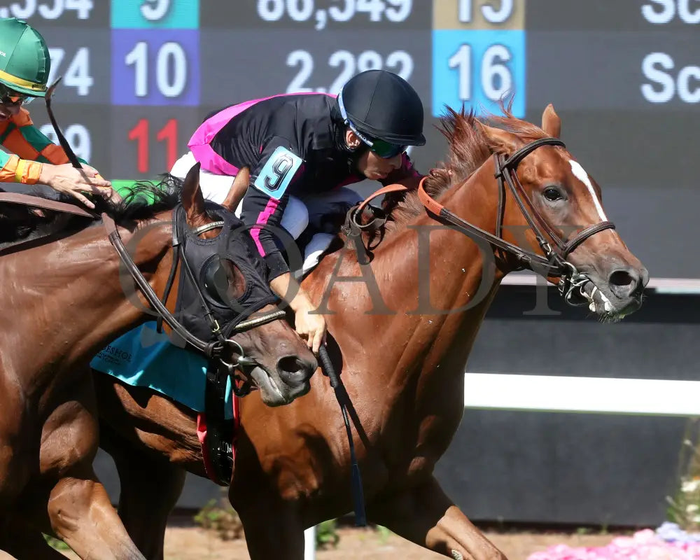 Best Cupcake - Ellen’s Lucky Star 16Th Running 07-06-24 R09 Ind Tight Finish 02 Indiana Grand
