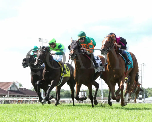 Best Cupcake - Ellen’s Lucky Star 16Th Running 07-06-24 R09 Ind Under Rail 01 Indiana Grand
