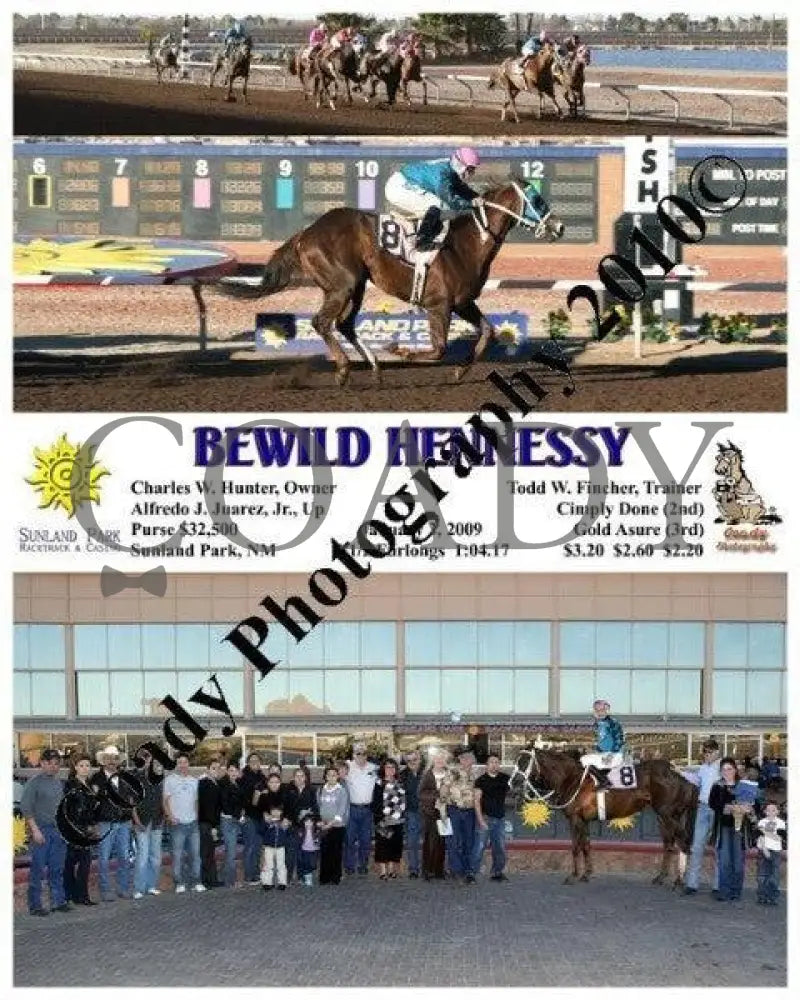 Bewild Hennessy - 1 3 2009 Sunland Park